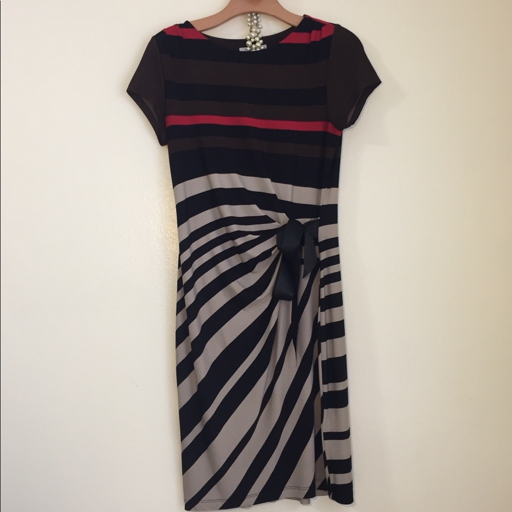 Shelby and Palmer Flattering Wrap Dress Size 8P